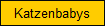 Katzenbabys